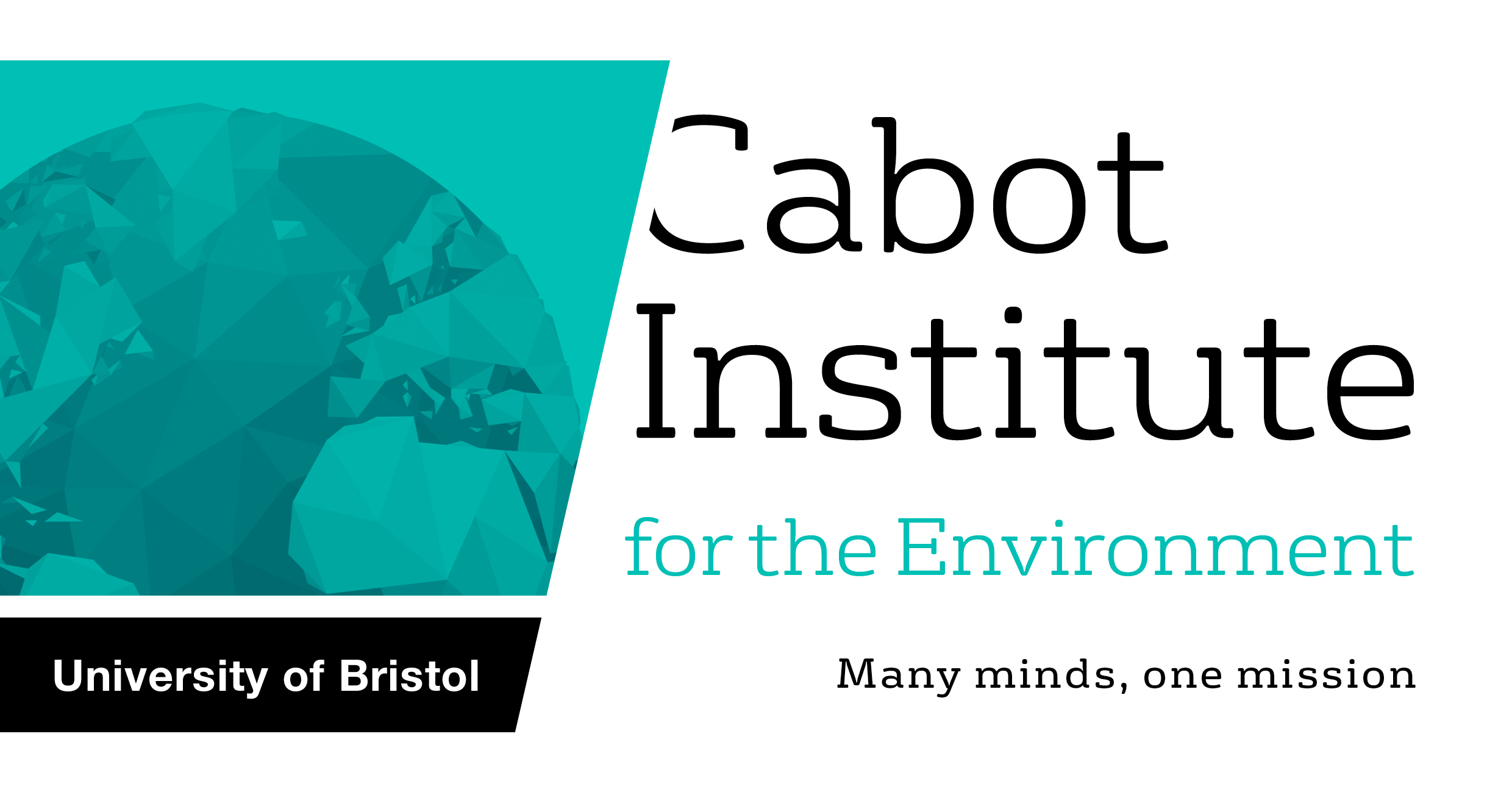 Cabot Institute for the Environment temporary logo white